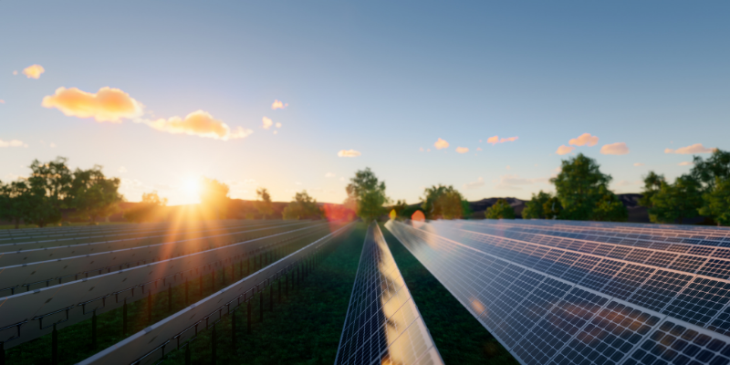 Solceller -  Hvad er miljømæssig bæredygtighed? 